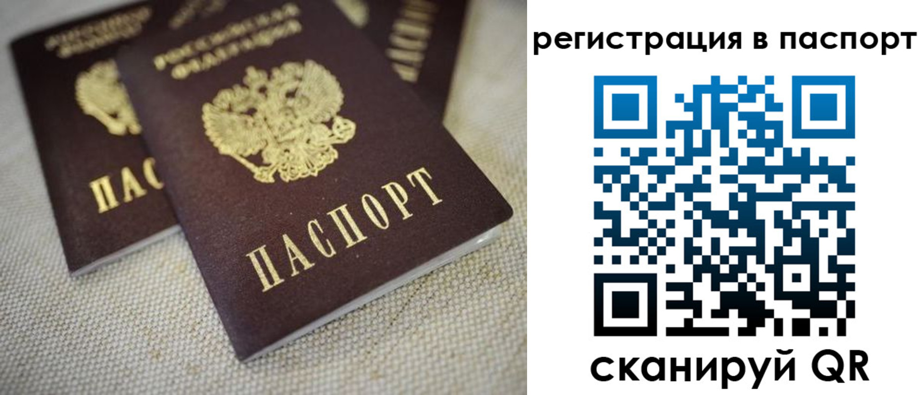прописка гарантия в Зверево